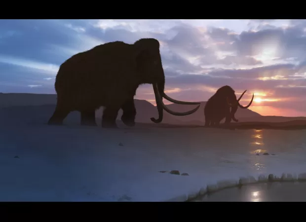 Europeans' ancestors mysteriously disappeared; the reason is now known.