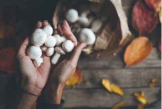 A psilocybin retreat may be a great fit if you're looking for personal growth.