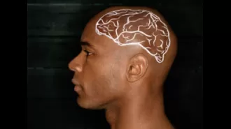 Smithsonian's collection of brains, used to study race, is subject of an investigative report.