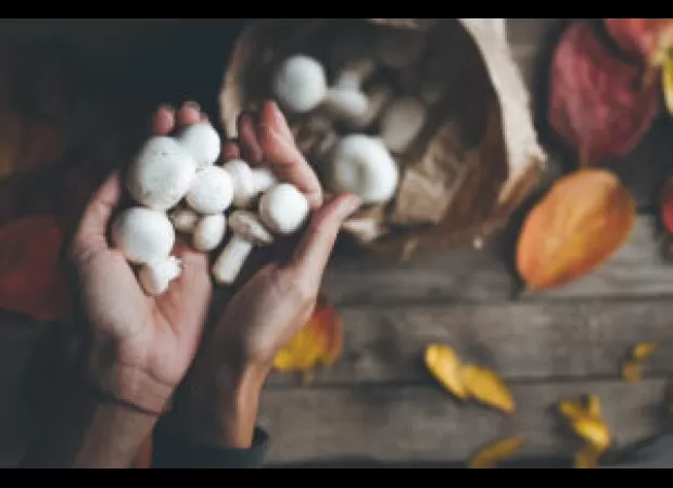 A psilocybin retreat may be a great fit if you're looking for personal growth.