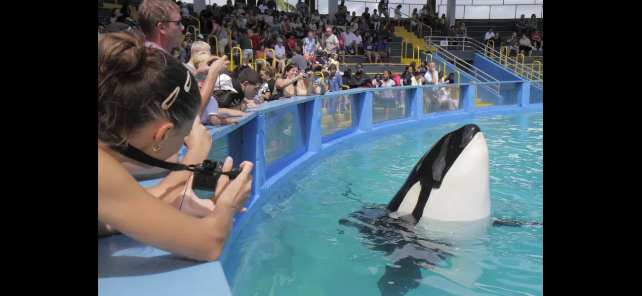 Killer whale dies after over 50 years in captivity at Miami Seaquarium.