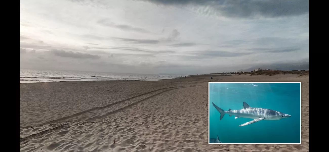 Man attacked by shark while swimming in shallow water off Spanish coast.
