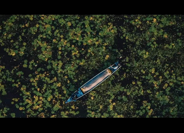 Celebrate World Photography Day 2023 with 6 stunning photos by ace photographers, inspiring you to explore India's beauty.