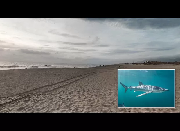 Man attacked by shark while swimming in shallow water off Spanish coast.