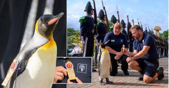Norwegian Army gave Edinburgh Zoo penguin a guard of honour in a special ceremony.