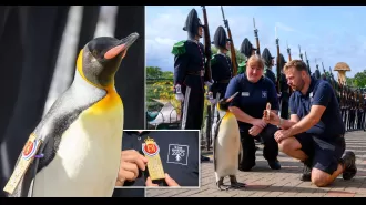 Norwegian Army gave Edinburgh Zoo penguin a guard of honour in a special ceremony.