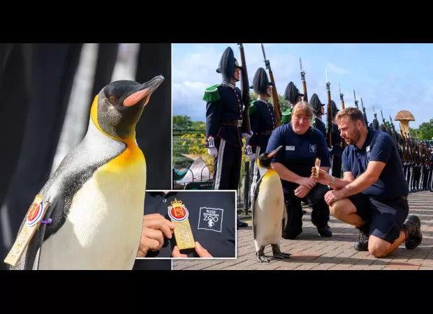 Norwegian Army gave Edinburgh Zoo penguin a guard of honour in a special ceremony.