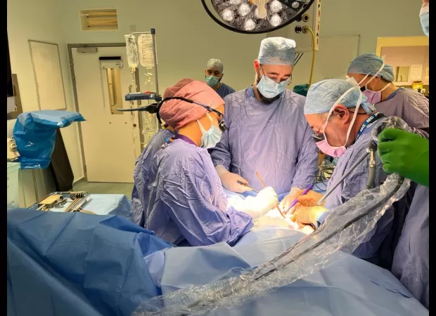 UK's first womb transplant was massively successful, giving hope to women seeking to have a baby.