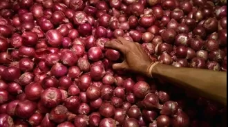 CM Shinde requests Union Govt to increase onion procurement centres in Maharashtra due to farmers' protests.