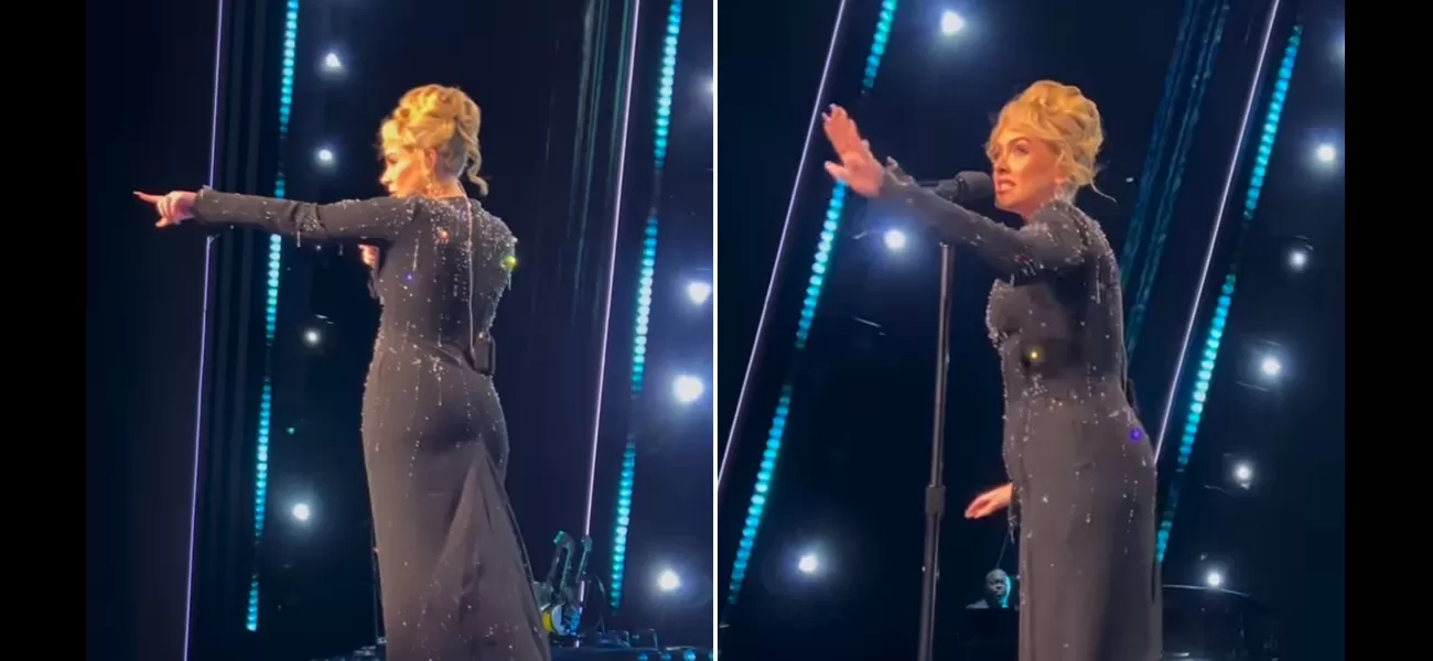 Adele applauded for standing up for a fan being bothered by security during her Vegas show.