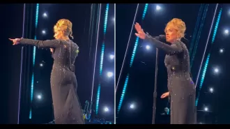 Adele applauded for standing up for a fan being bothered by security during her Vegas show.