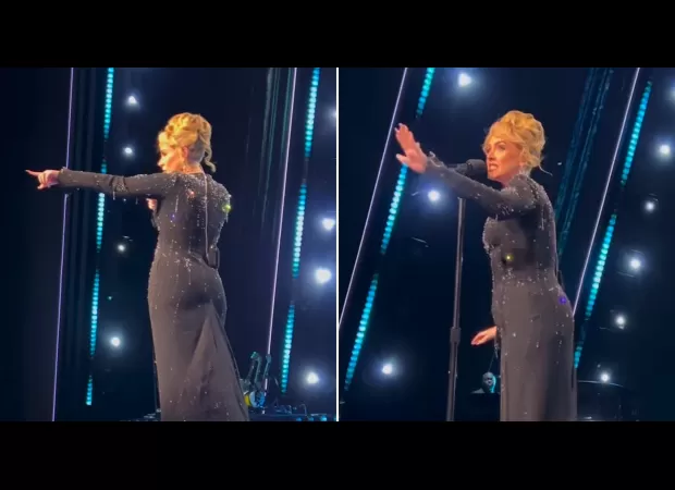 Adele applauded for standing up for a fan being bothered by security during her Vegas show.