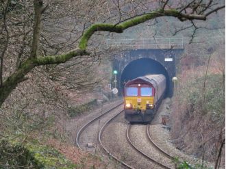 Man walking in tunnel struck and killed by train with passengers on board.