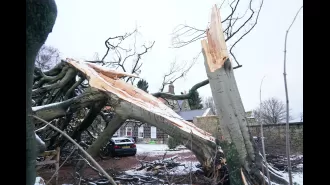 Millions could get compensation for power outages due to storms under new Ofgem rules. How much can you get?