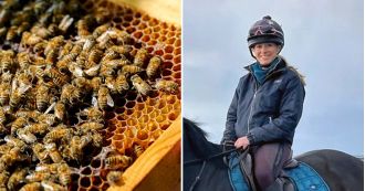 Mrs Honeycombe was stung over 60 times by an angry bee swarm.