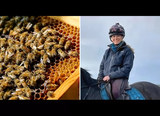 Mrs Honeycombe was stung over 60 times by an angry bee swarm.