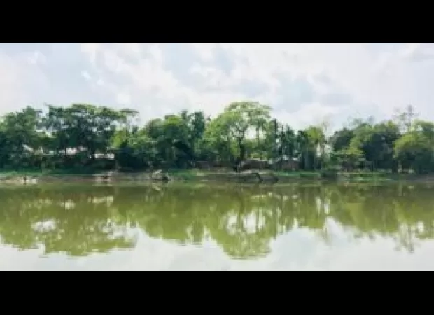 White teen indicted for trying to drown black juvenile.