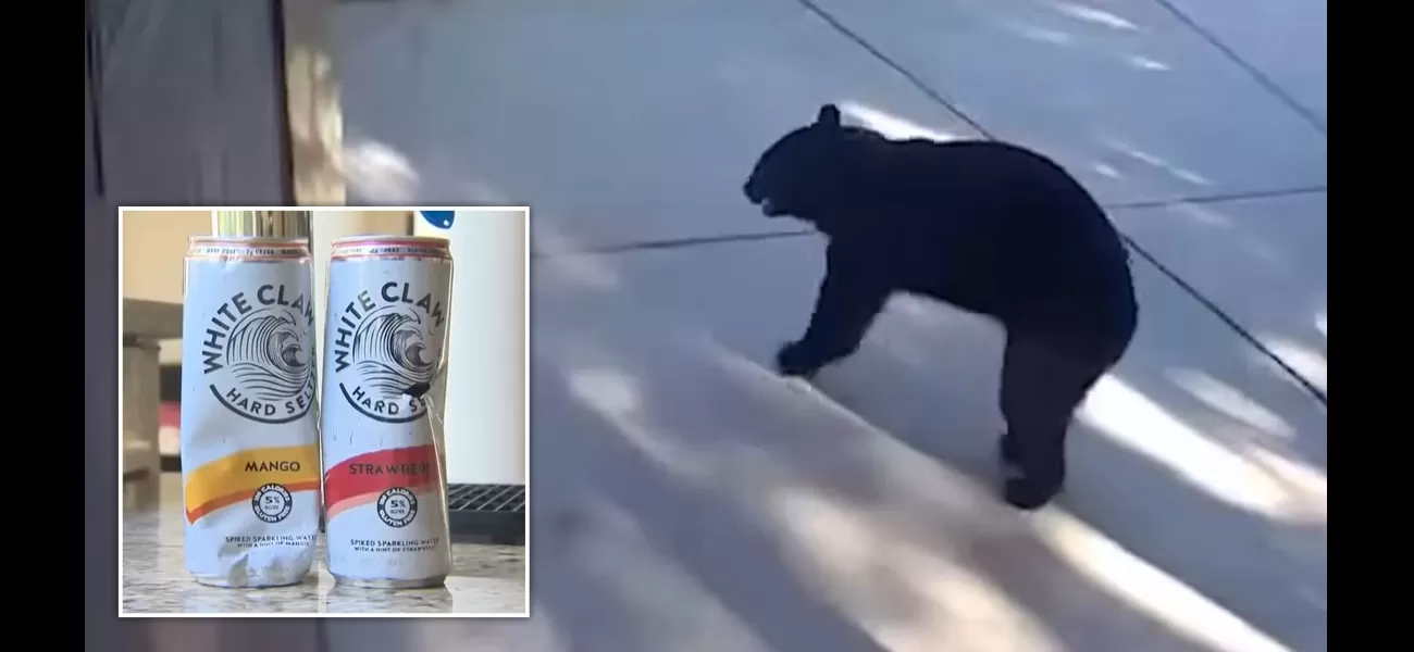 Bear raids house for White Claw, leaving with three cans in its three-legged grasp.