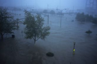 A Katrina survivor is now leading the fight against flooding in New Orleans.