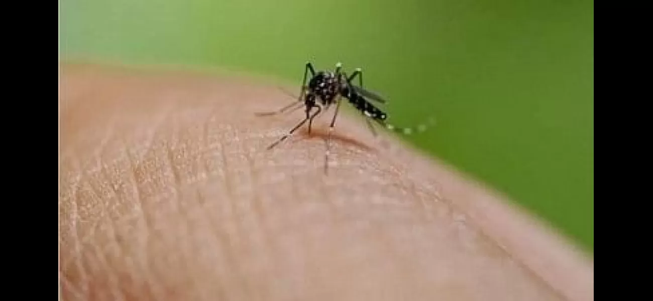 8 new cases of dengue reported in Indore, taking total to 113.