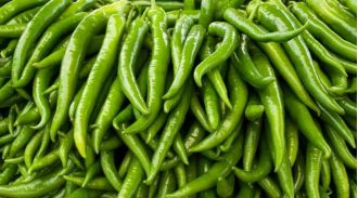 Farmers in MP concerned about sudden drop in chilli prices.
