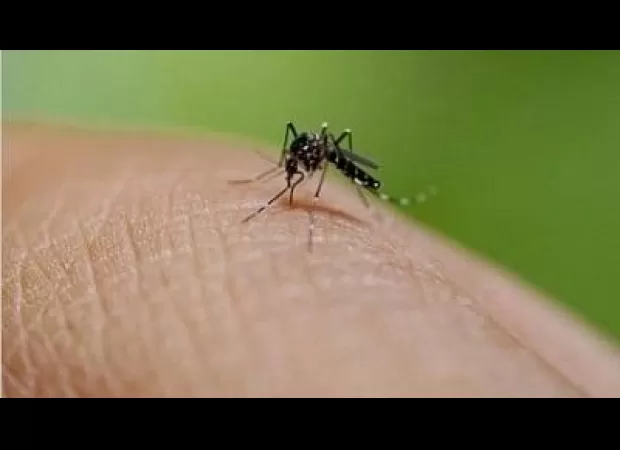 8 new cases of dengue reported in Indore, taking total to 113.