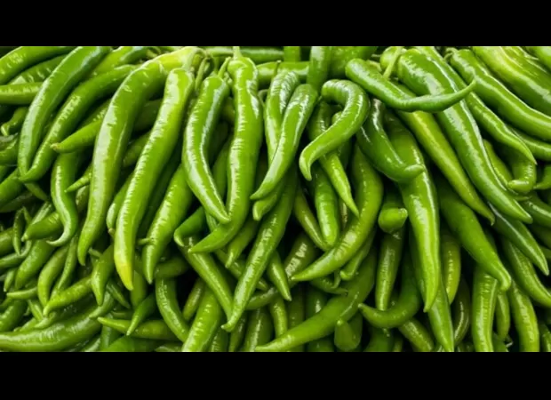 Farmers in MP concerned about sudden drop in chilli prices.