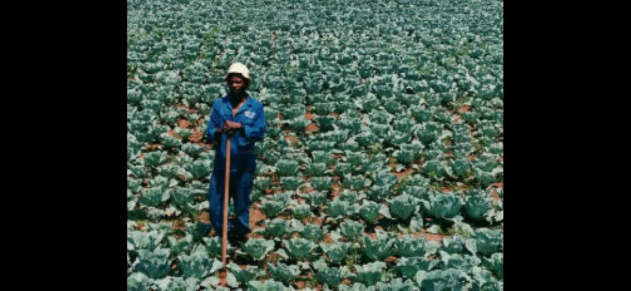 $11M raised to support Black agricultural businesses and farmers.