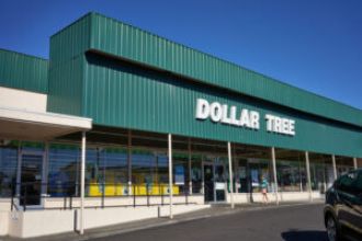 Dollar stores contribute to economic hardship in Chicago's neighborhoods over many years.