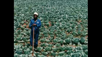 $11M raised to support Black agricultural businesses and farmers.