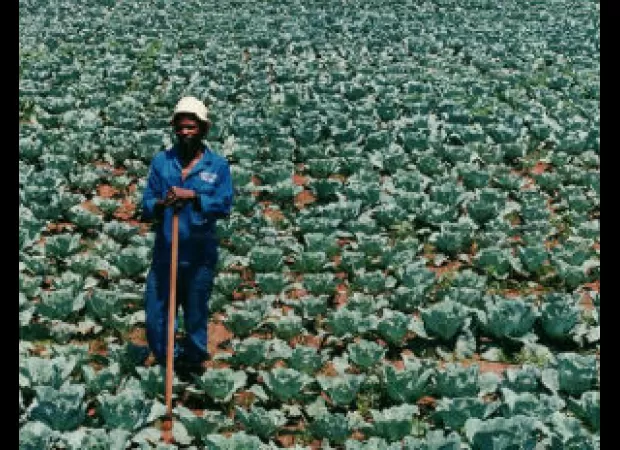 $11M raised to support Black agricultural businesses and farmers.