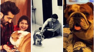 Arjun Kapoor says goodbye to his beloved pet Maximus with a heartfelt post.