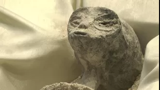 Experts weigh in on the mysterious 3-fingered mummies found in Mexico.