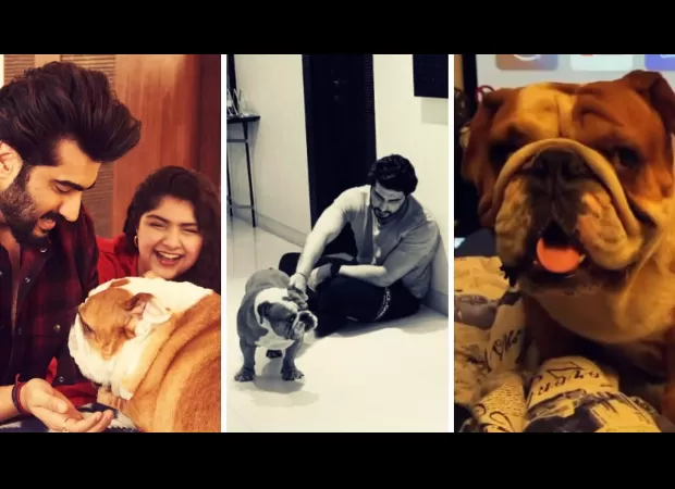 Arjun Kapoor says goodbye to his beloved pet Maximus with a heartfelt post.