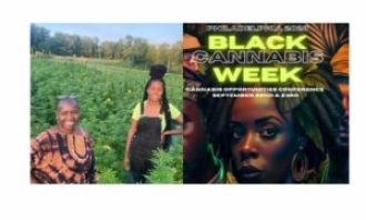 Cherron Perry-Thomas advocates for equity in the cannabis industry for Black Cannabis Week.