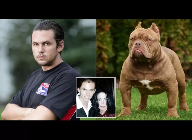 Former bodyguard shares advice on how to defend against bully attacks.