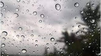 Light showers & cool breeze bring relief from Indore's rising temperature.