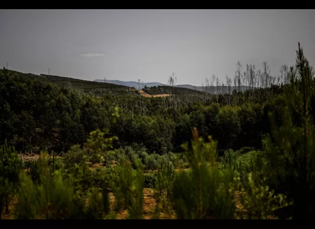 British teen fatally stabbed while playing online game 