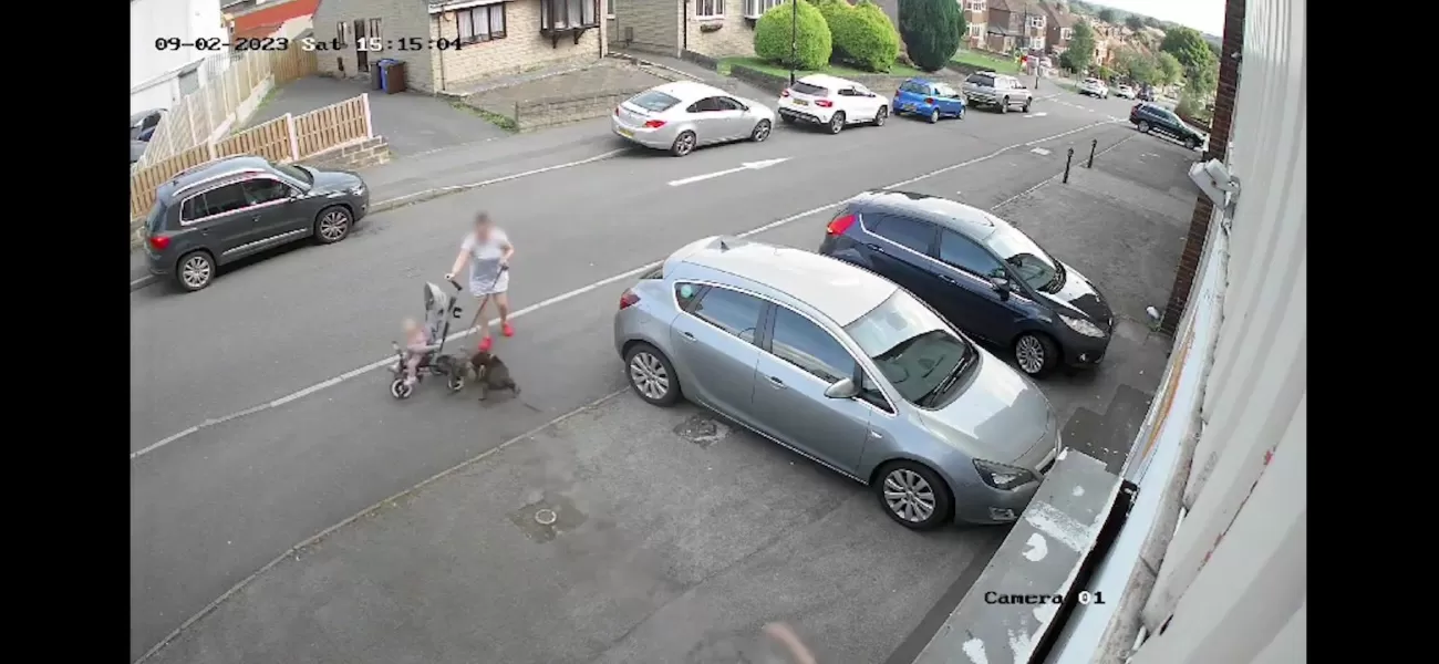 Mum defends her pet and baby from a dog's attack, shielding them both.