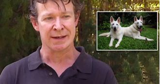 Man in UK confesses to raping and abusing multiple dogs at his rescue shelter.