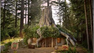 Someone built Shrek’s home & it’s available to rent on Airbnb!