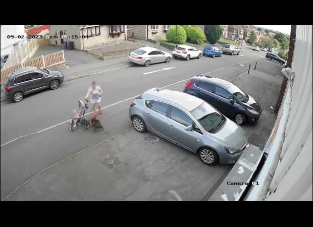 Mum defends her pet and baby from a dog's attack, shielding them both.