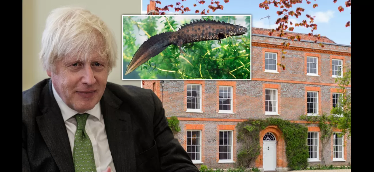 Boris can construct a pool at his home despite worries about newts.