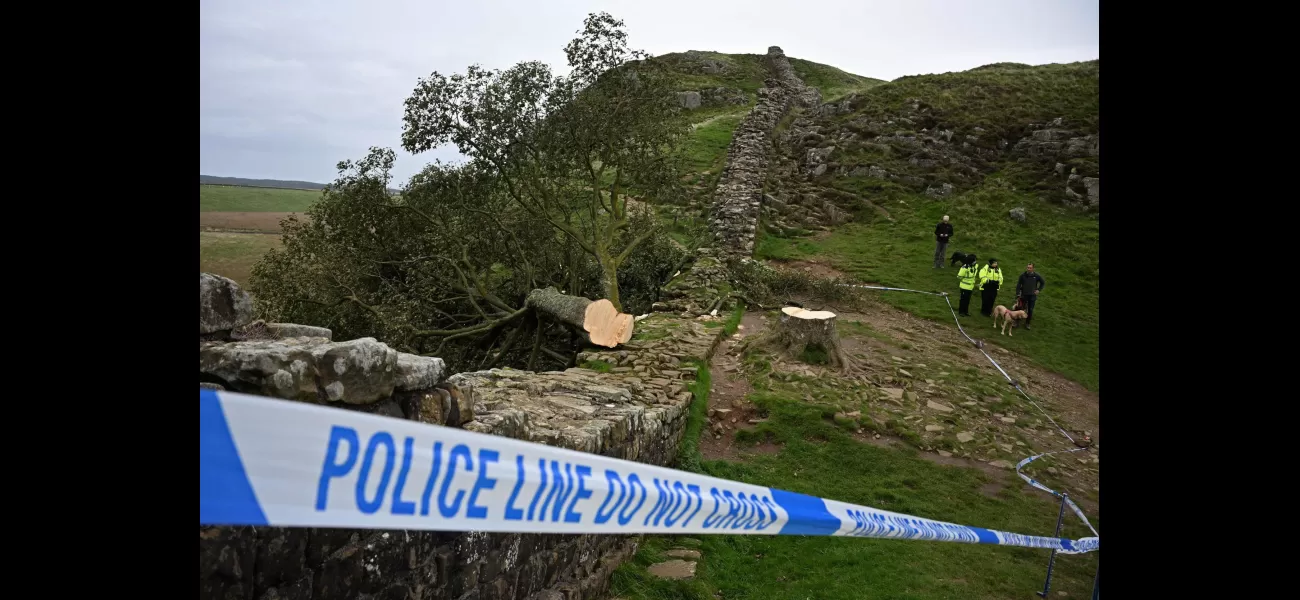 16-year-old boy arrested for cutting down Sycamore Gap's iconic tree.