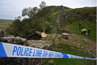 16-year-old boy arrested for cutting down Sycamore Gap's iconic tree.