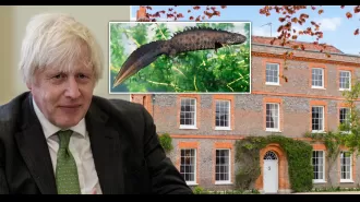 Boris can construct a pool at his home despite worries about newts.