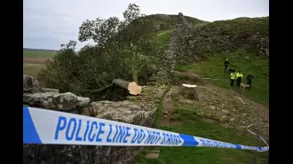 16-year-old boy arrested for cutting down Sycamore Gap's iconic tree.