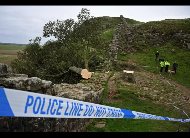 16-year-old boy arrested for cutting down Sycamore Gap's iconic tree.