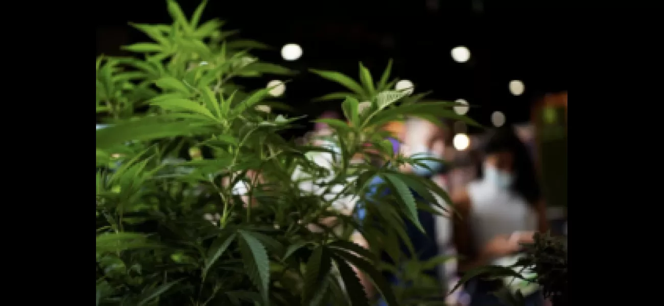 60+ Jamaican school kids hospitalized after eating candy made with cannabis.