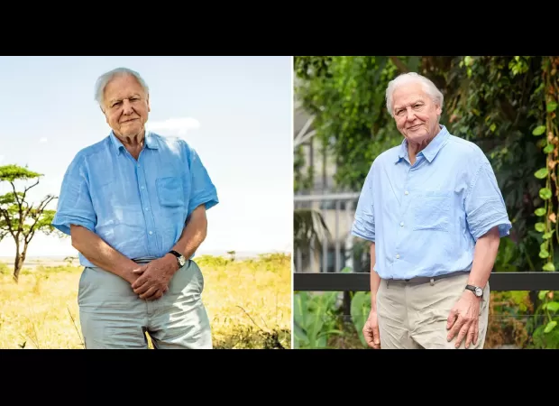 Sir David Attenborough vs his wax figure: spot the difference!